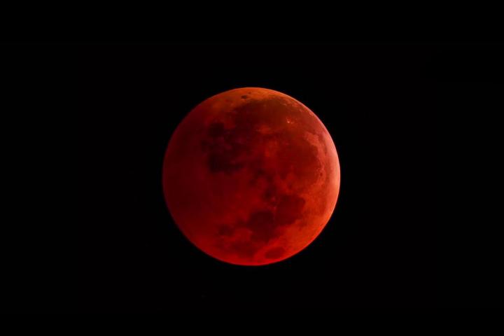 blood moon eclipse marks googles first weekly search trends report