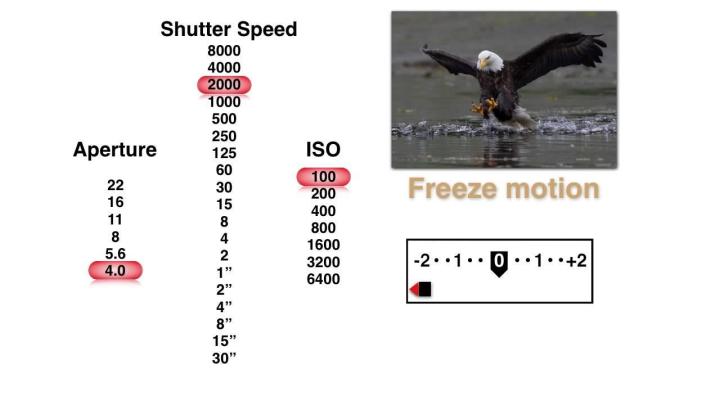 photography 101 learn aperture shutter speed iso influence exposure educational video triangle creativelive