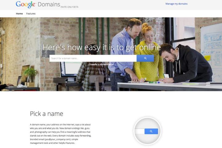 google testing service registering website domains