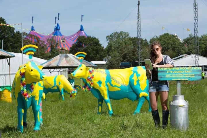wi fi cows to help revelers get online at uks most famous music festival glastonbury