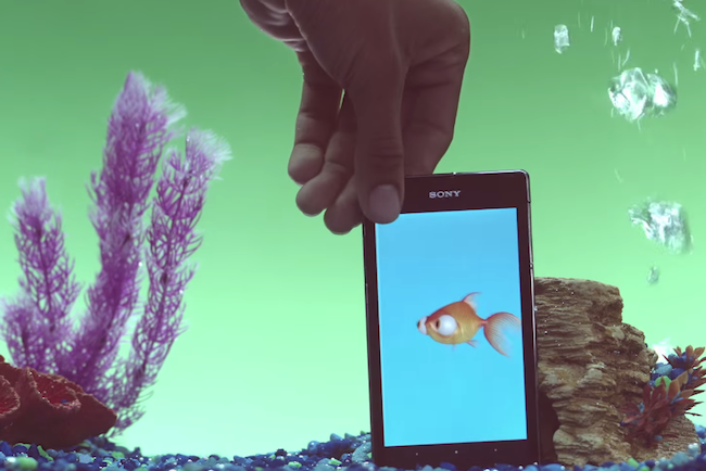 sony underwater apps goldfish umbrella goldie