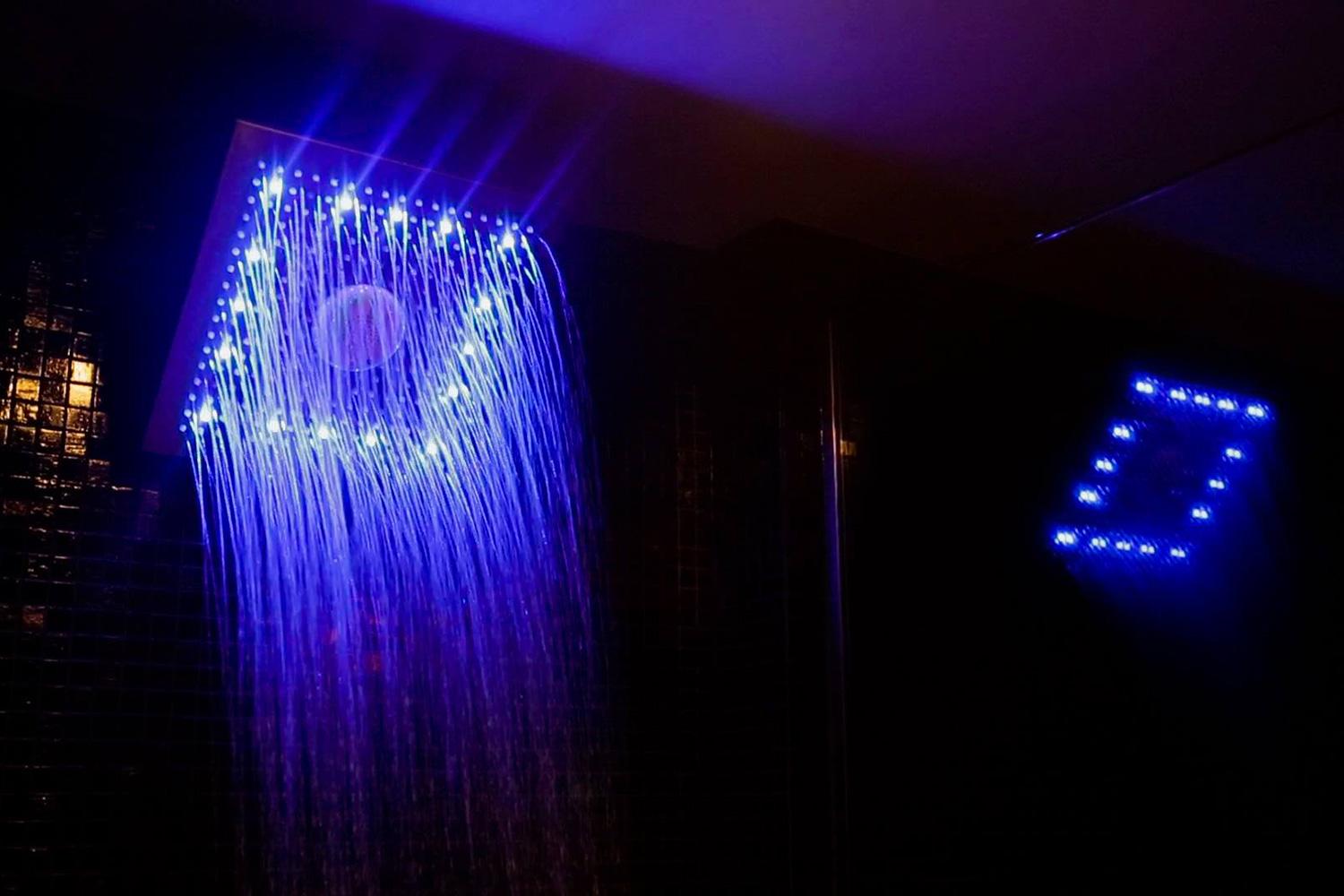 The Shower Speaker
