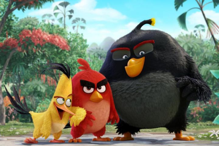 The birds of the Angry Birds Movie.