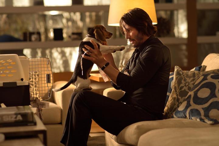 The very best John Wick motion pictures, ranked by field workplace gross