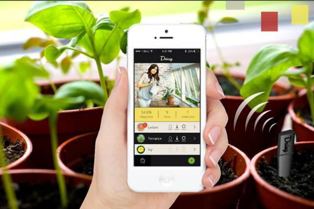 use this device and stop killing your plants you mur diddly urdler daisy sensor smart for