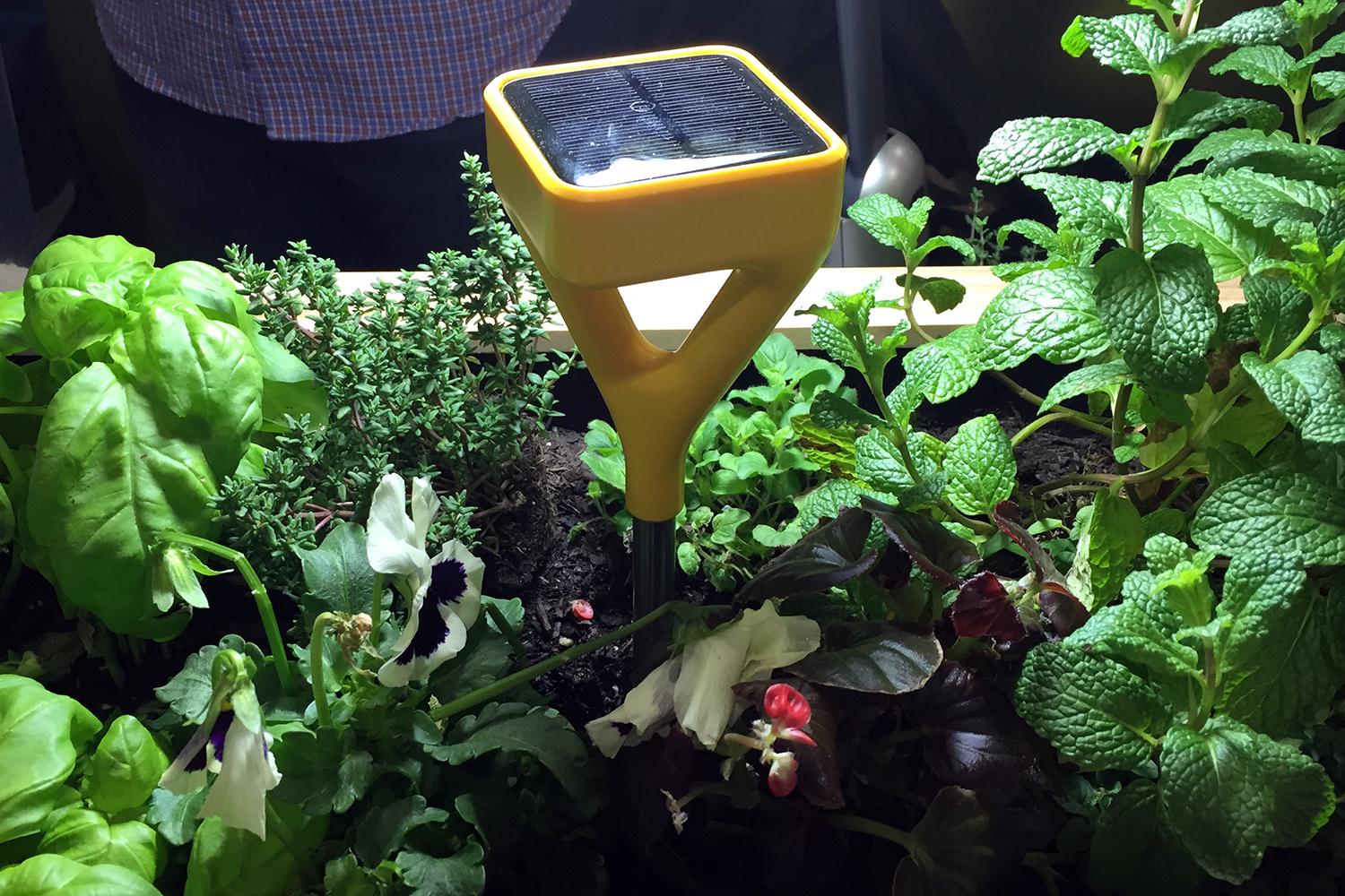 Edyn smart garden system