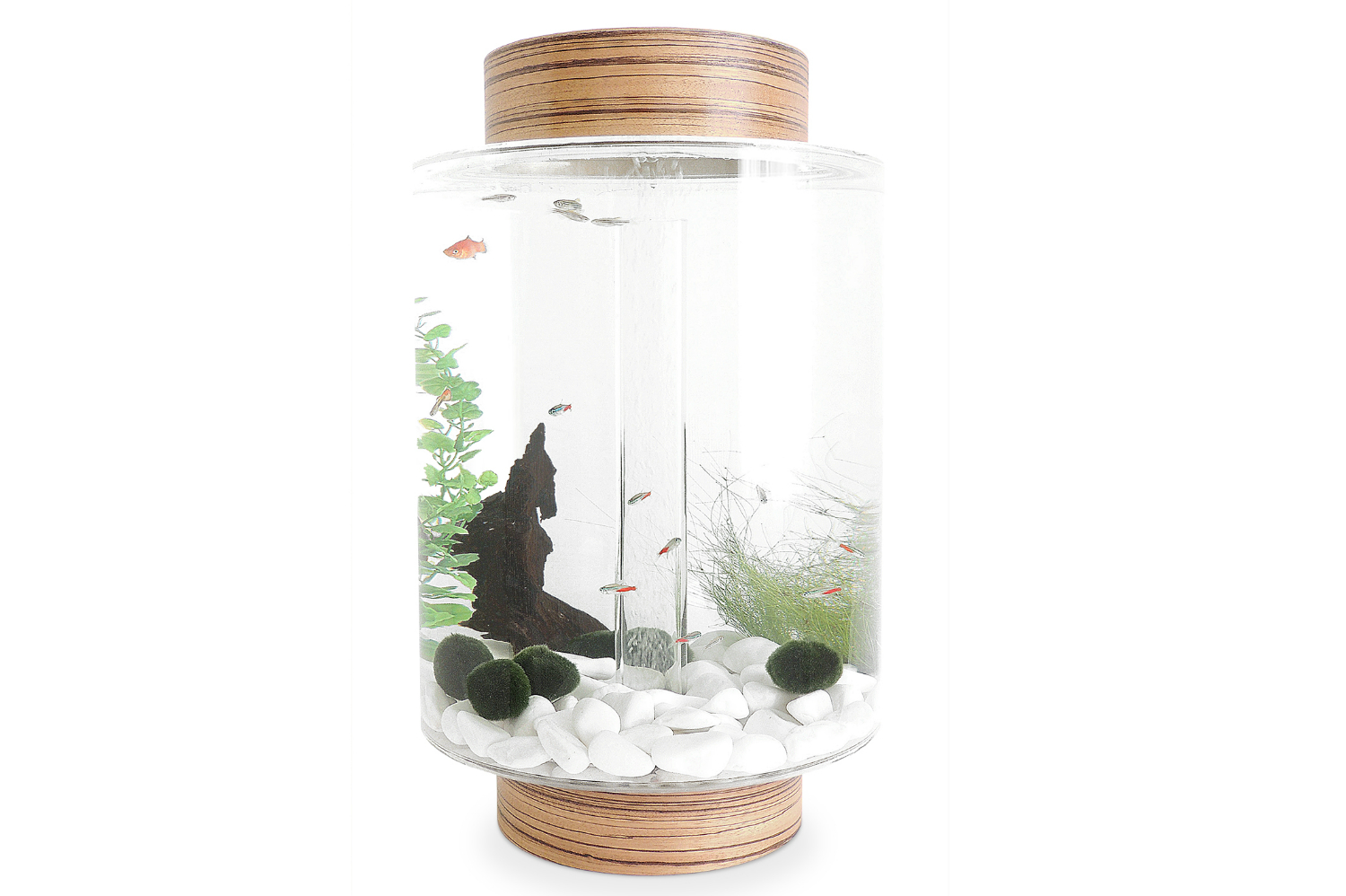 norrom aquarium is a beautiful 3d printable fish tank