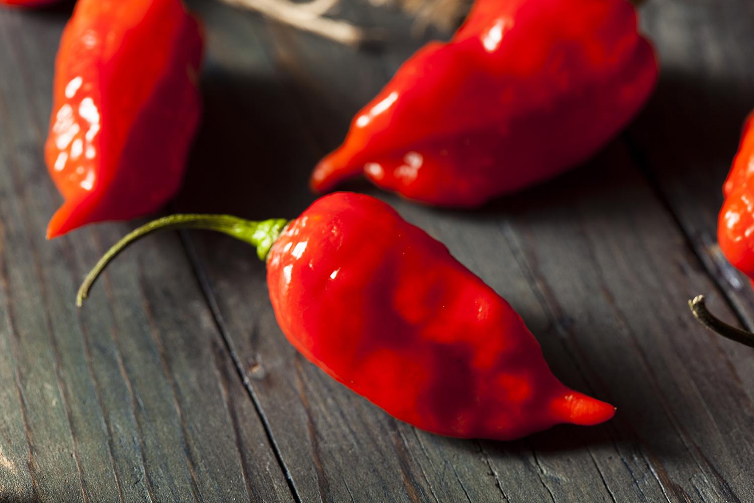 The 5 hottest peppers known to man