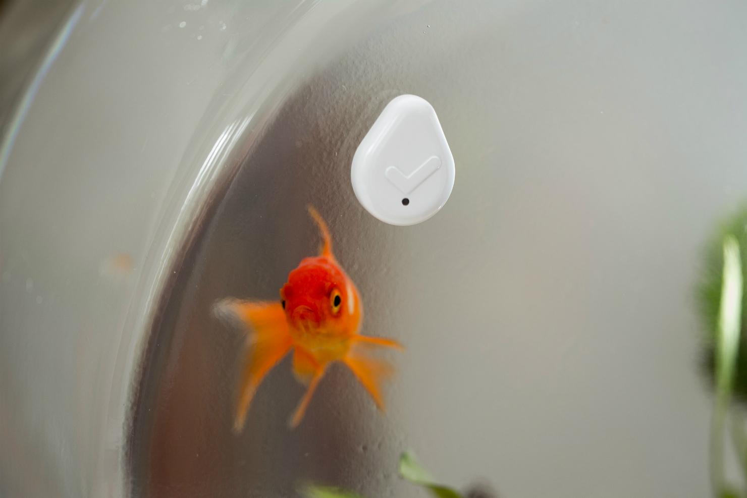 droplet is a reminder button for everyday chores fish