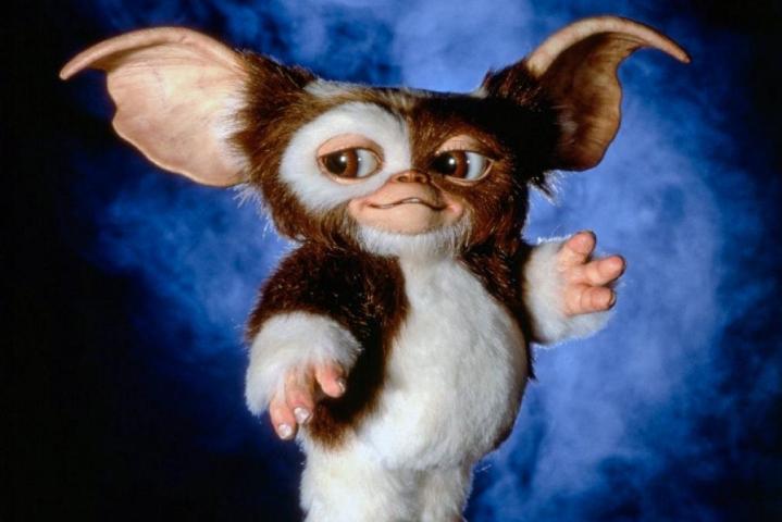 An image of Gizmo from the film Gremlins.
