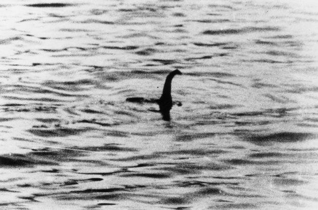 Is that Nessie?