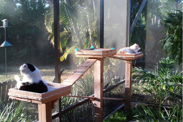 furniture and homes that are made for cat people catio showcase