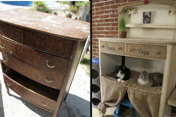 furniture and homes that are made for cat people gypsy barn condo