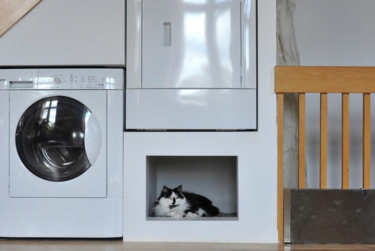 furniture and homes that are made for cat people john hannah cubby
