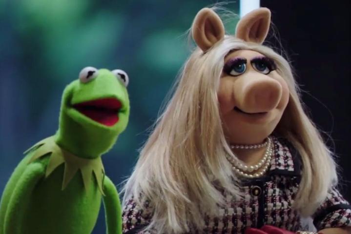 New Muppets Show