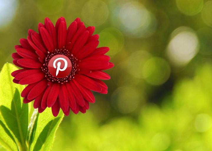intelligent visual search feature pinterest
