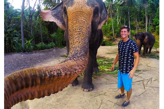 elephant grabs tourists camera takes elphie
