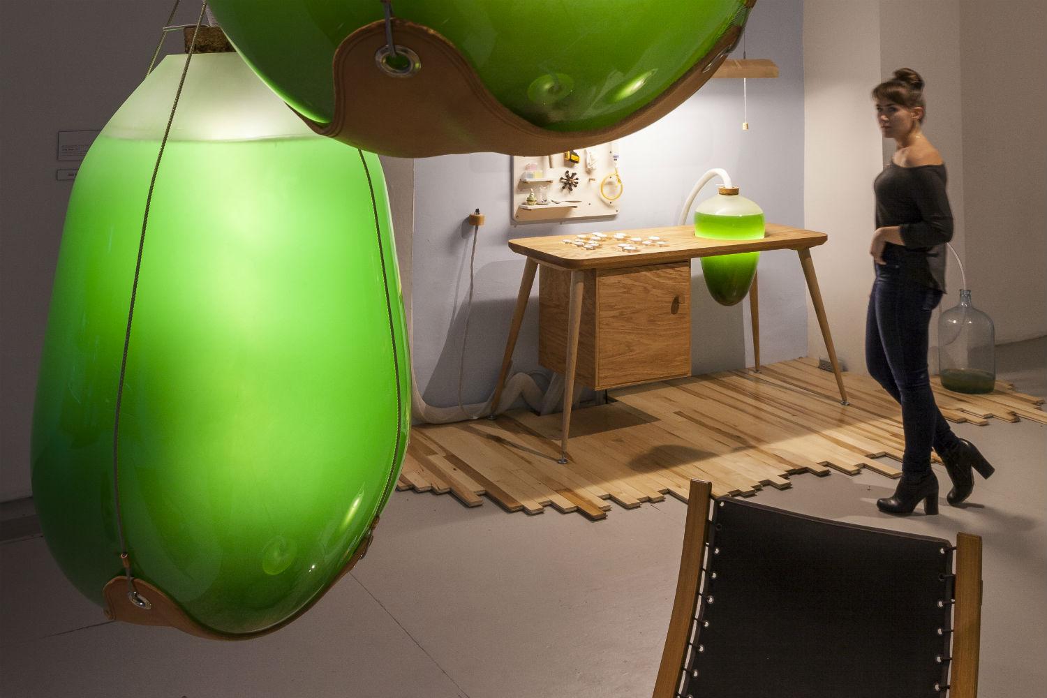 microalgae lamps can light your home and are edible algae lamp 04