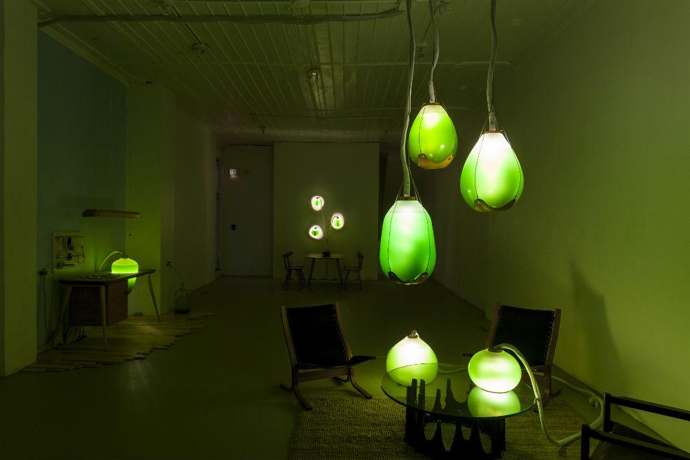 microalgae lamps can light your home and are edible algae lamp 07