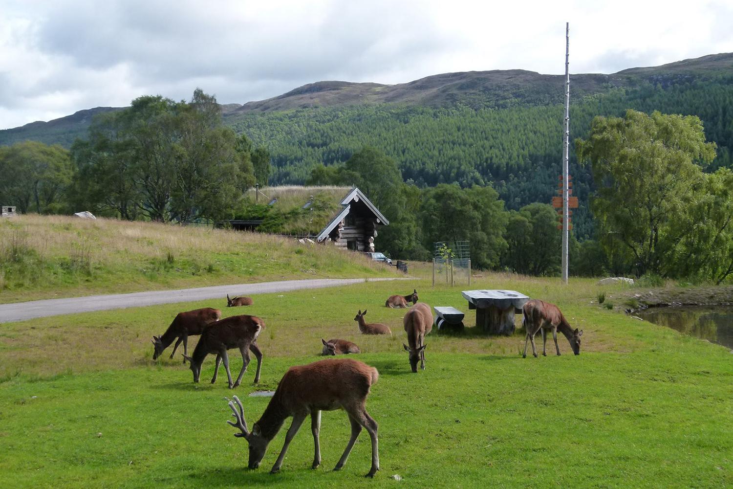 retreat from society and relax in these idyllic cabins around the world eagle brae highland log 15