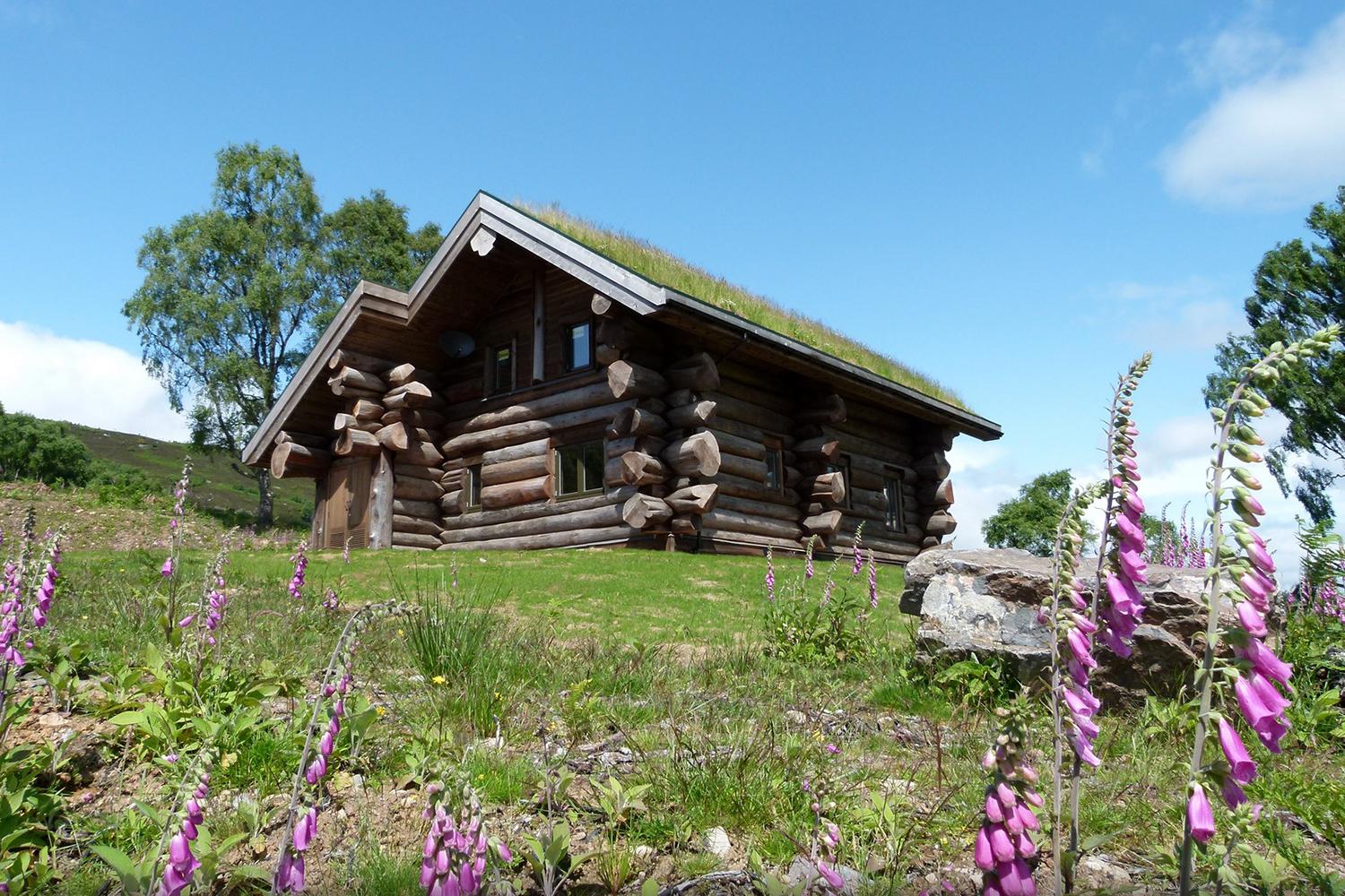 retreat from society and relax in these idyllic cabins around the world eagle brae highland log 3