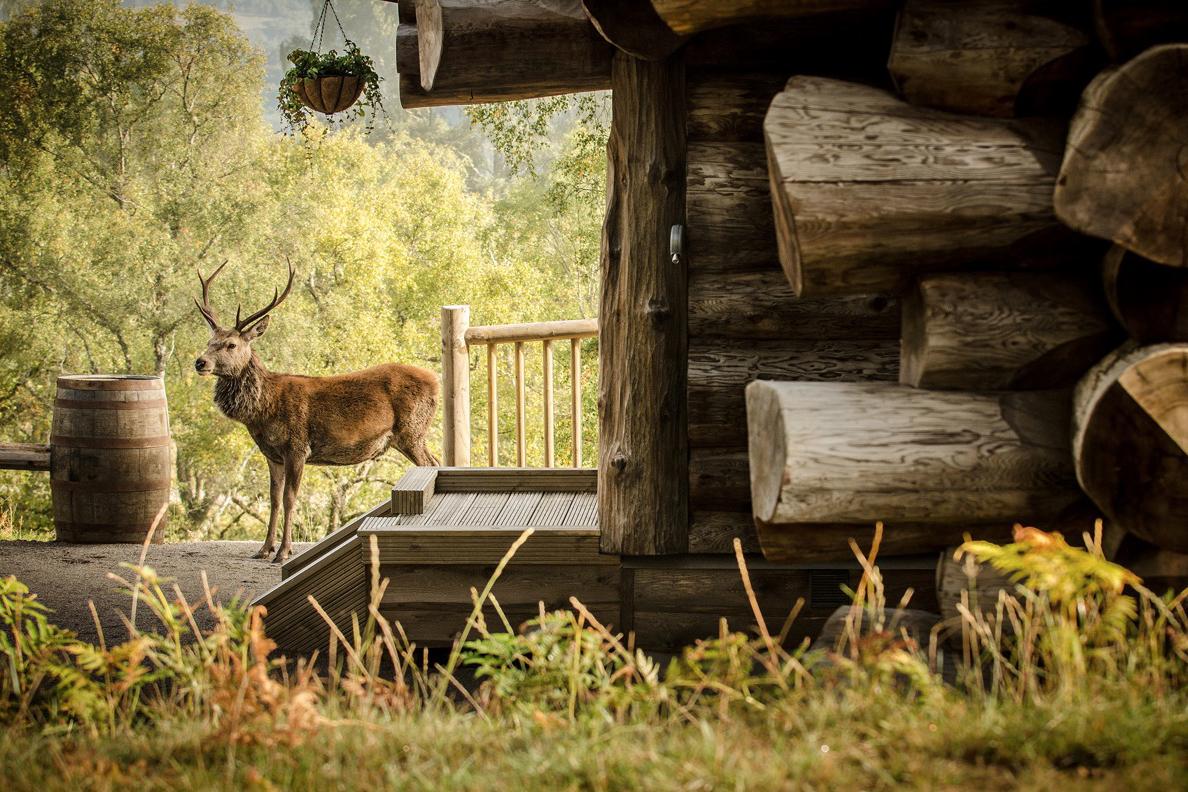 retreat from society and relax in these idyllic cabins around the world eagle brae highland log 6
