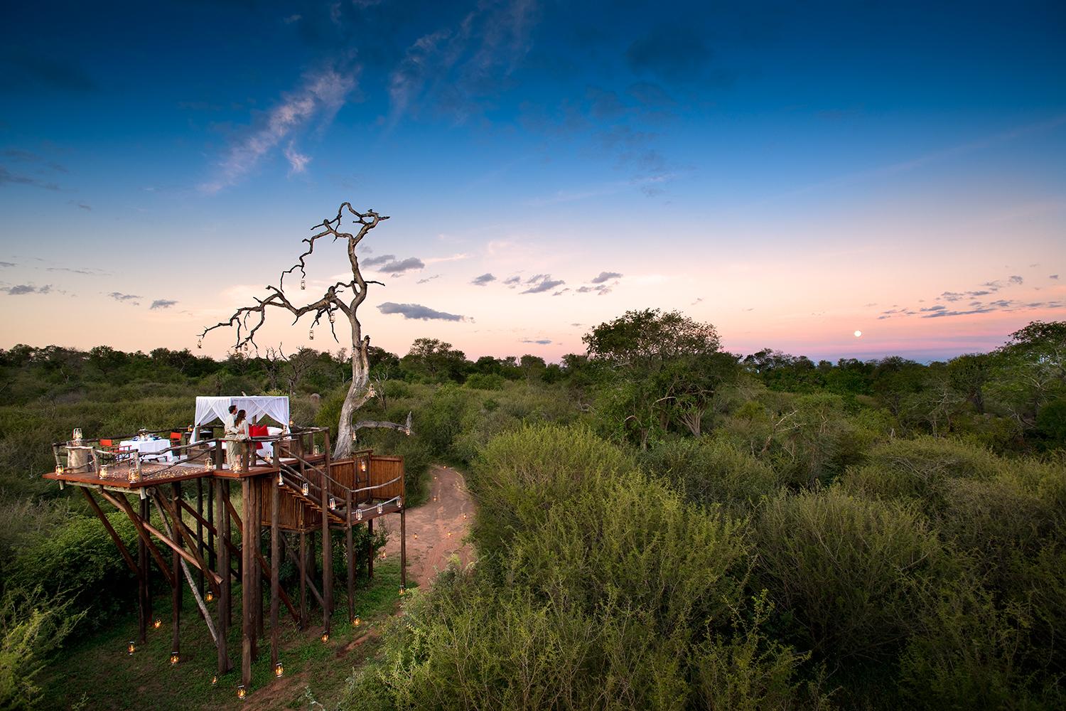retreat from society and relax in these idyllic cabins around the world lion sands game reserve 1