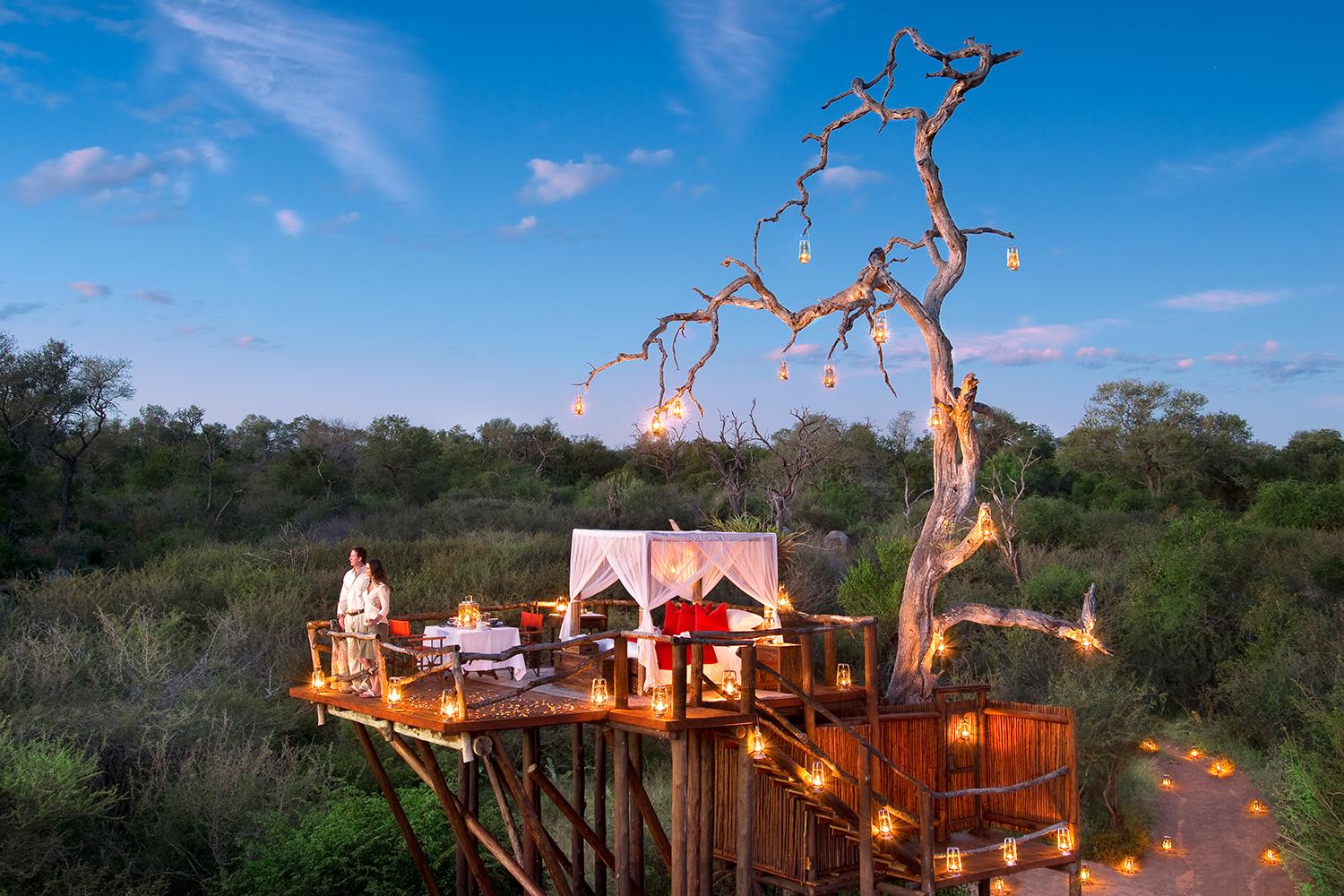retreat from society and relax in these idyllic cabins around the world lion sands game reserve 2