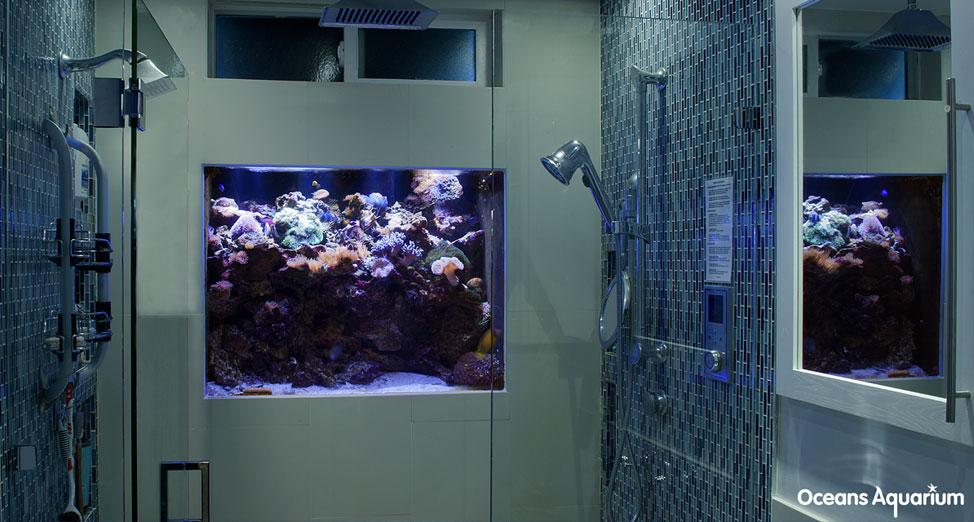 homes with their own shark tanks 11