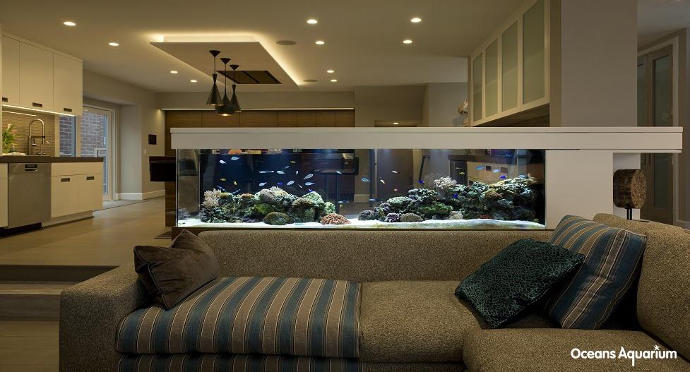 homes with their own shark tanks 2