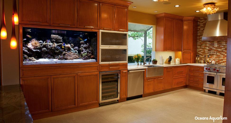homes with their own shark tanks 7