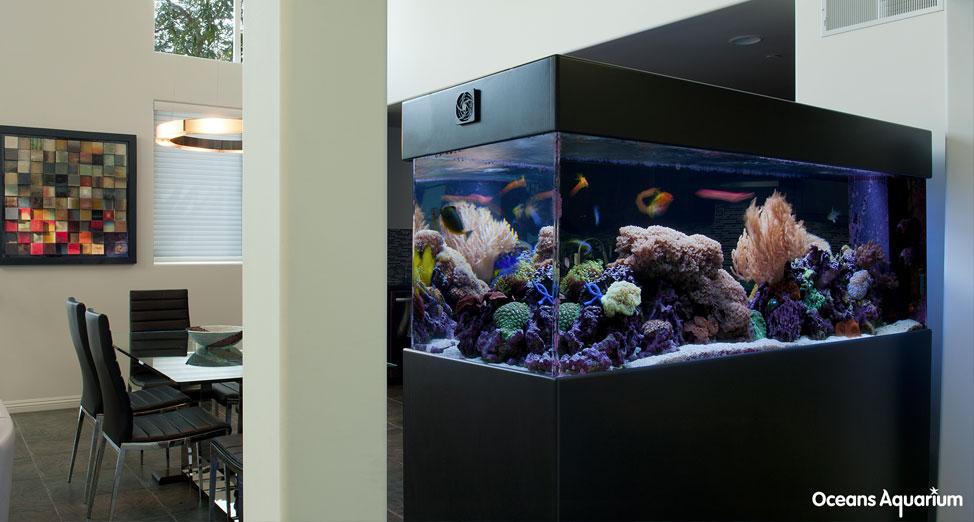 homes with their own shark tanks 9