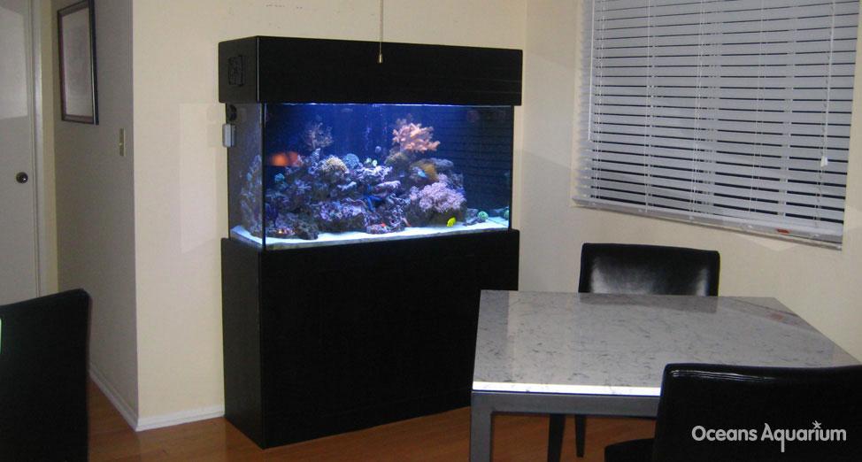 homes with their own shark tanks ag10