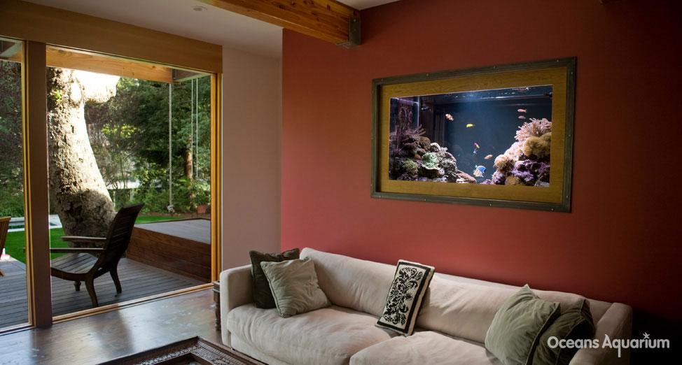 homes with their own shark tanks ag4