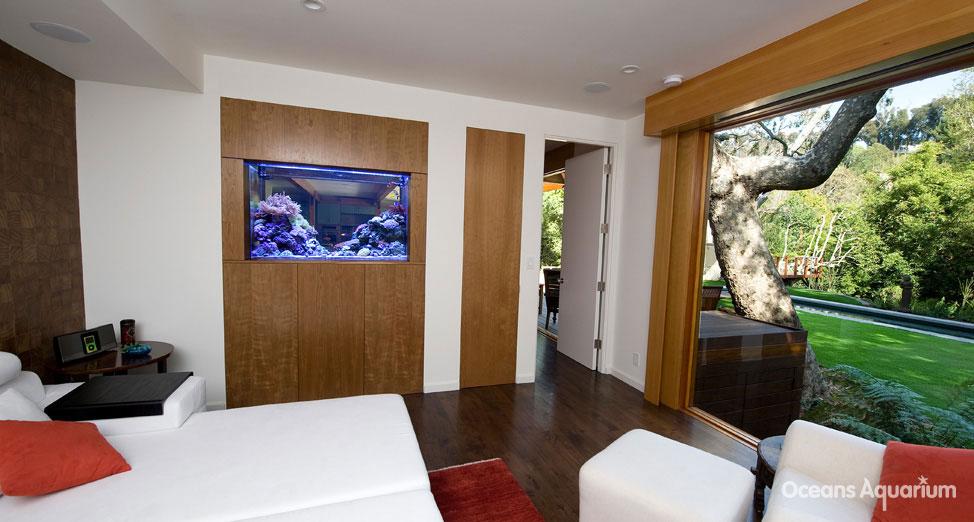 homes with their own shark tanks ag5