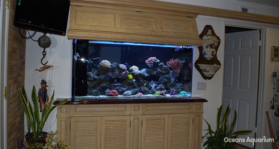 homes with their own shark tanks ag6