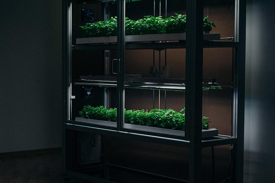 mini smart farm home produce click  grow 10
