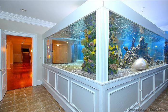 homes with their own shark tanks gilbert arenas mansion dsc0481 copy