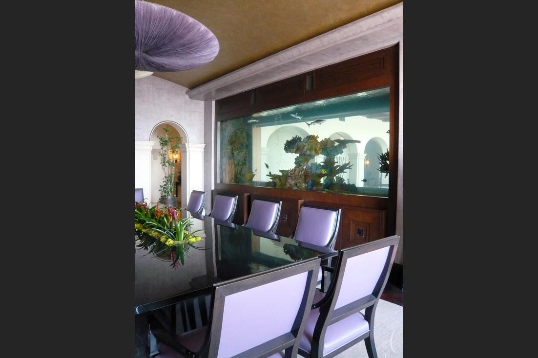 homes with their own shark tanks hollywood hills sharks 2