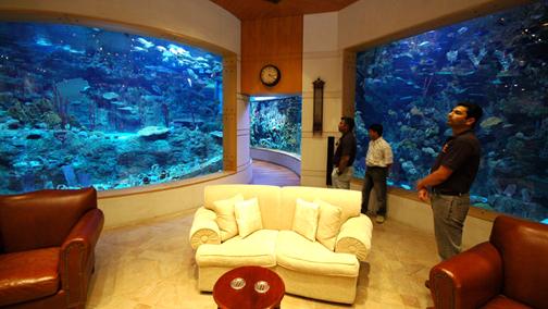 homes with their own shark tanks issham aquatics 5