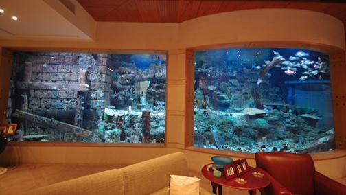 homes with their own shark tanks issham aquatics 6