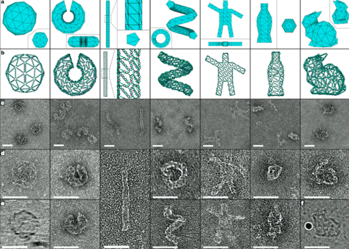 dna origami allows for 3d printed bunnies to deliver medication screen shot 2015 07 24 at 5 17 47 pm