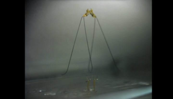 harvard insect robot that can jump on water screen shot 2015 07 31 at 3 21 02 pm
