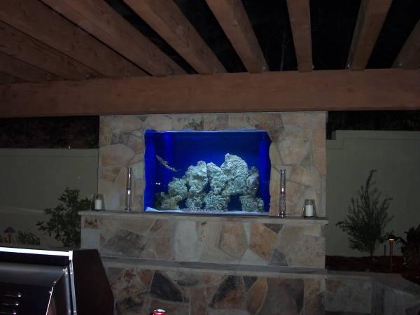 homes with their own shark tanks symphony pools tank 0471 copy