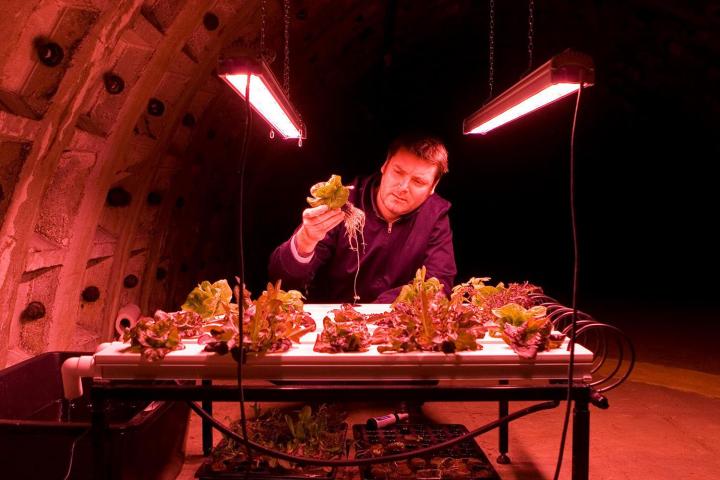 londons underground farm zero carbon food growing 008