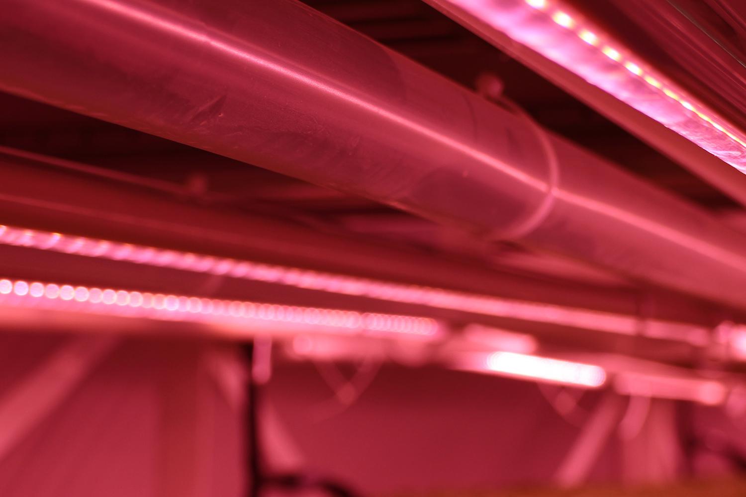 londons underground farm zero carbon food growing air tubes