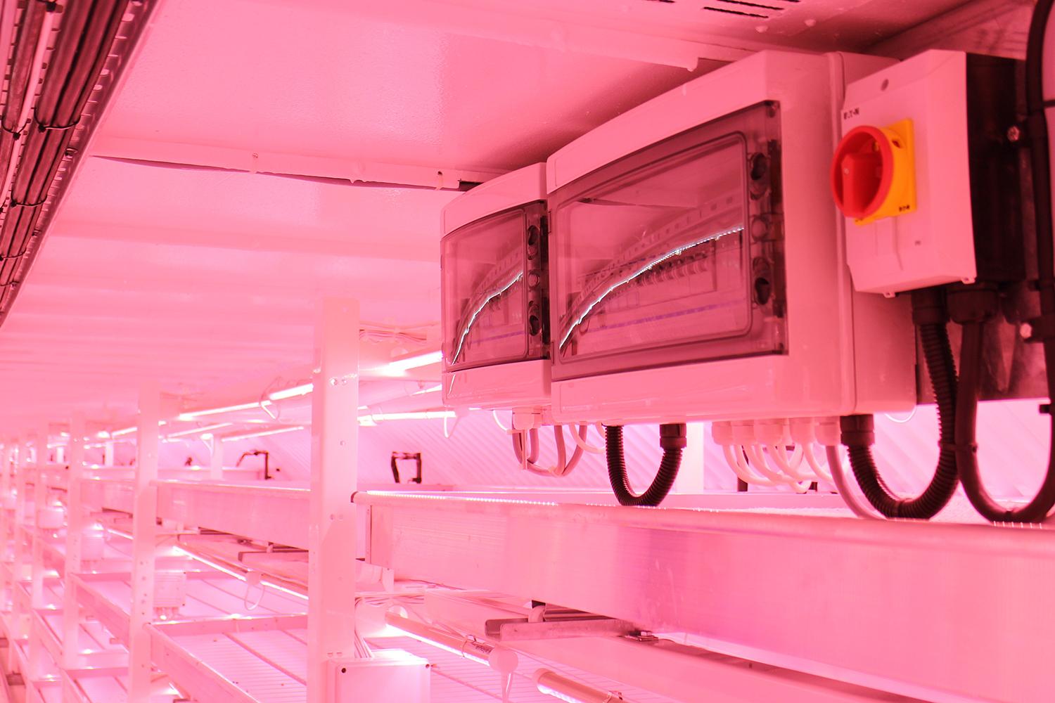 londons underground farm zero carbon food growing empty trays