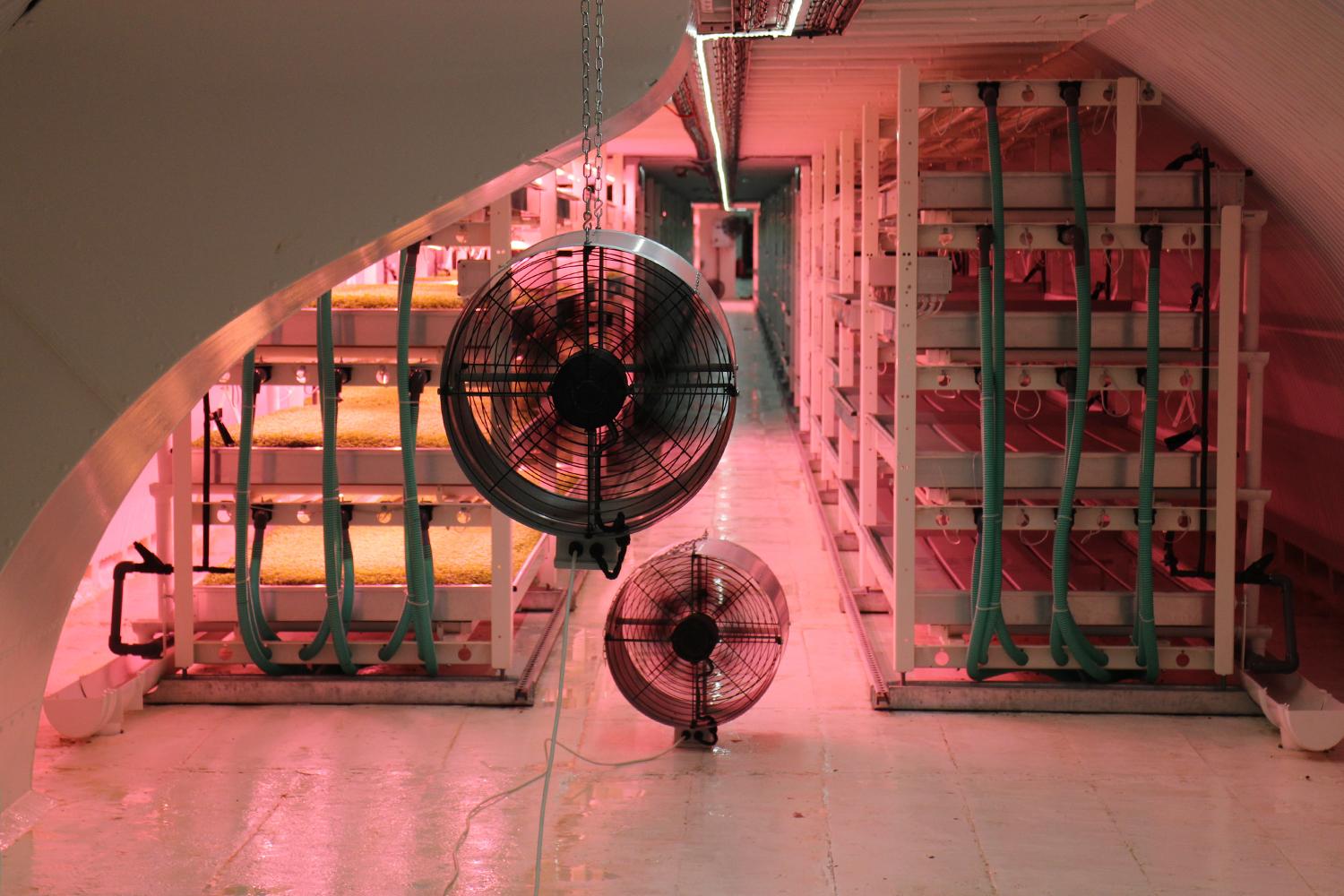 londons underground farm zero carbon food growing tunnel