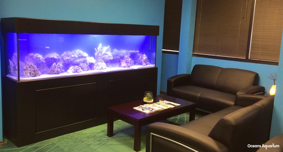 homes with their own shark tanks alx1
