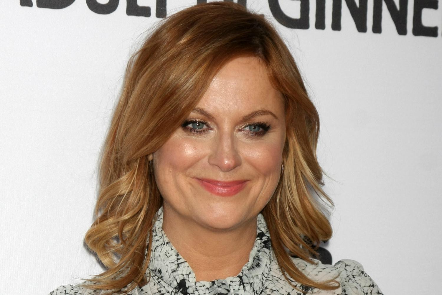 Amy Poehler to Make Directorial Debut With 'Wine Country' for Netflix |  Digital Trends